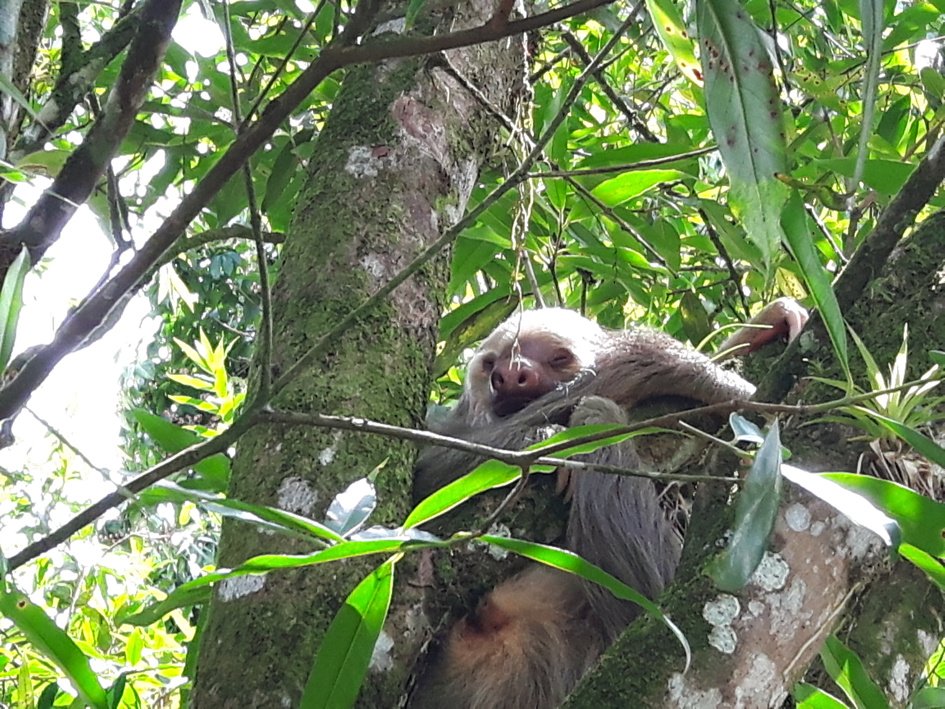 Manuel Antonio Costa Rica 