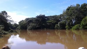 La Fortuna, Caño Negro Wildlife tour