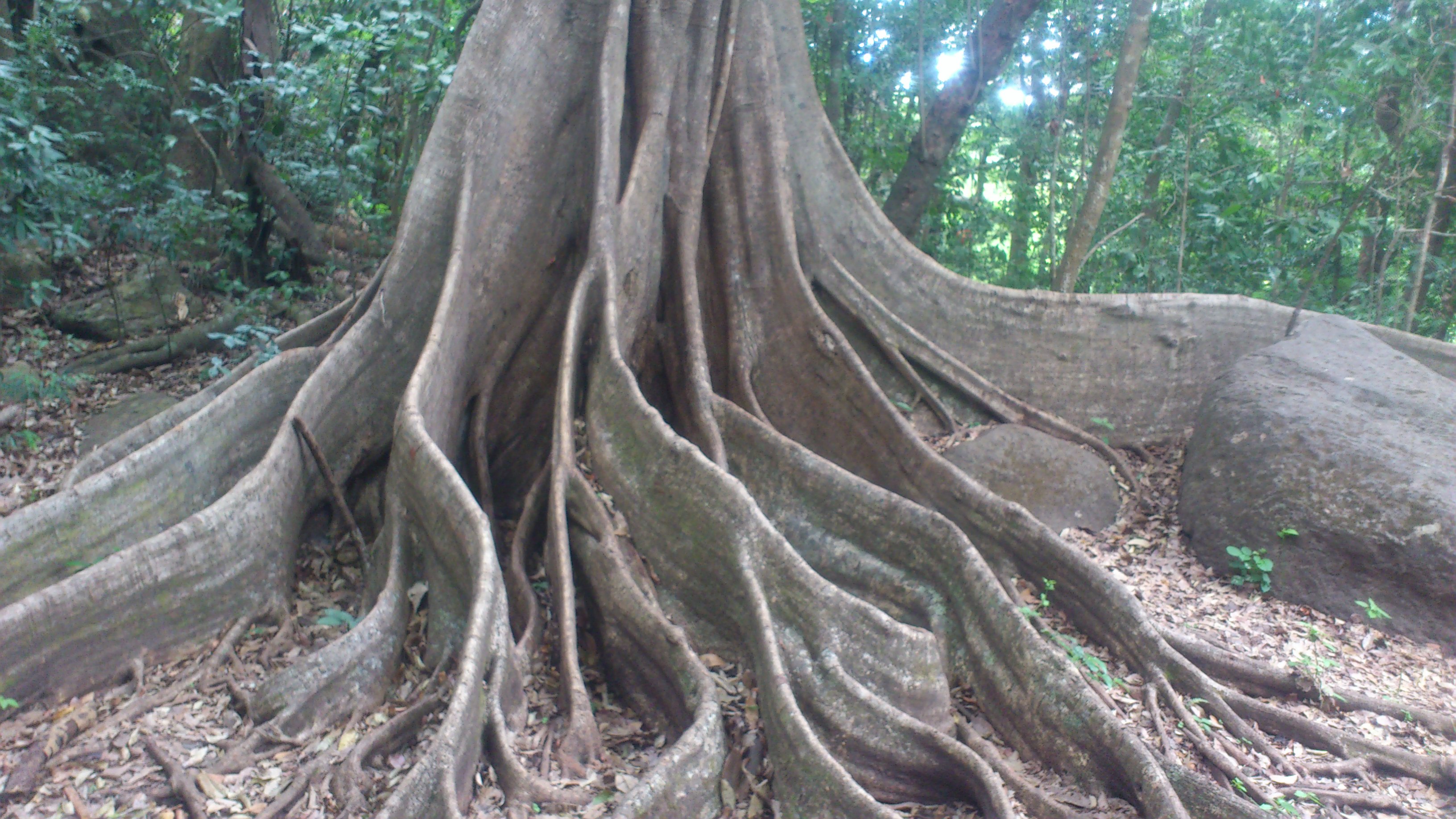 Rincon de la Vieja National Park