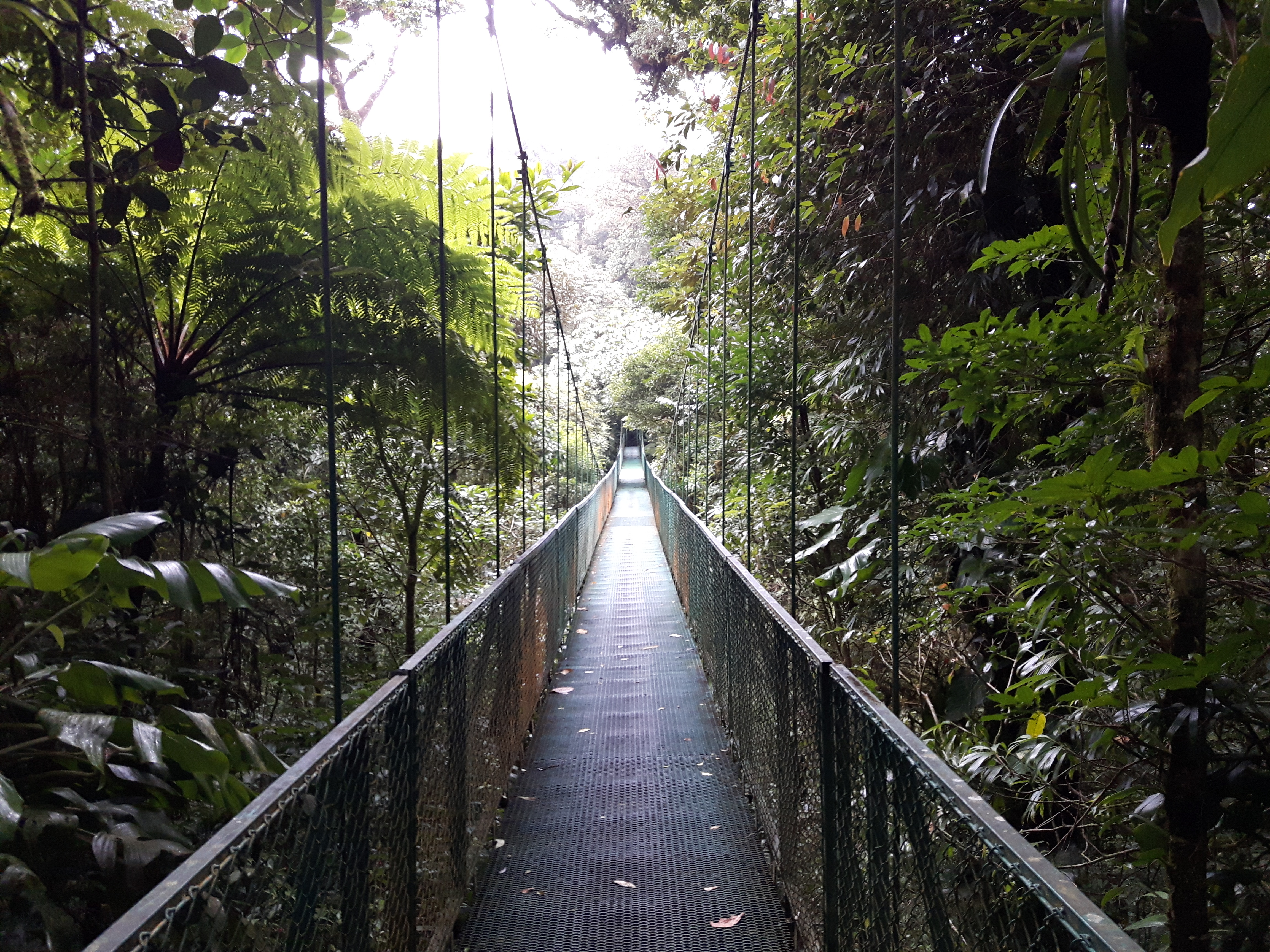 Monteverde Costa Rica