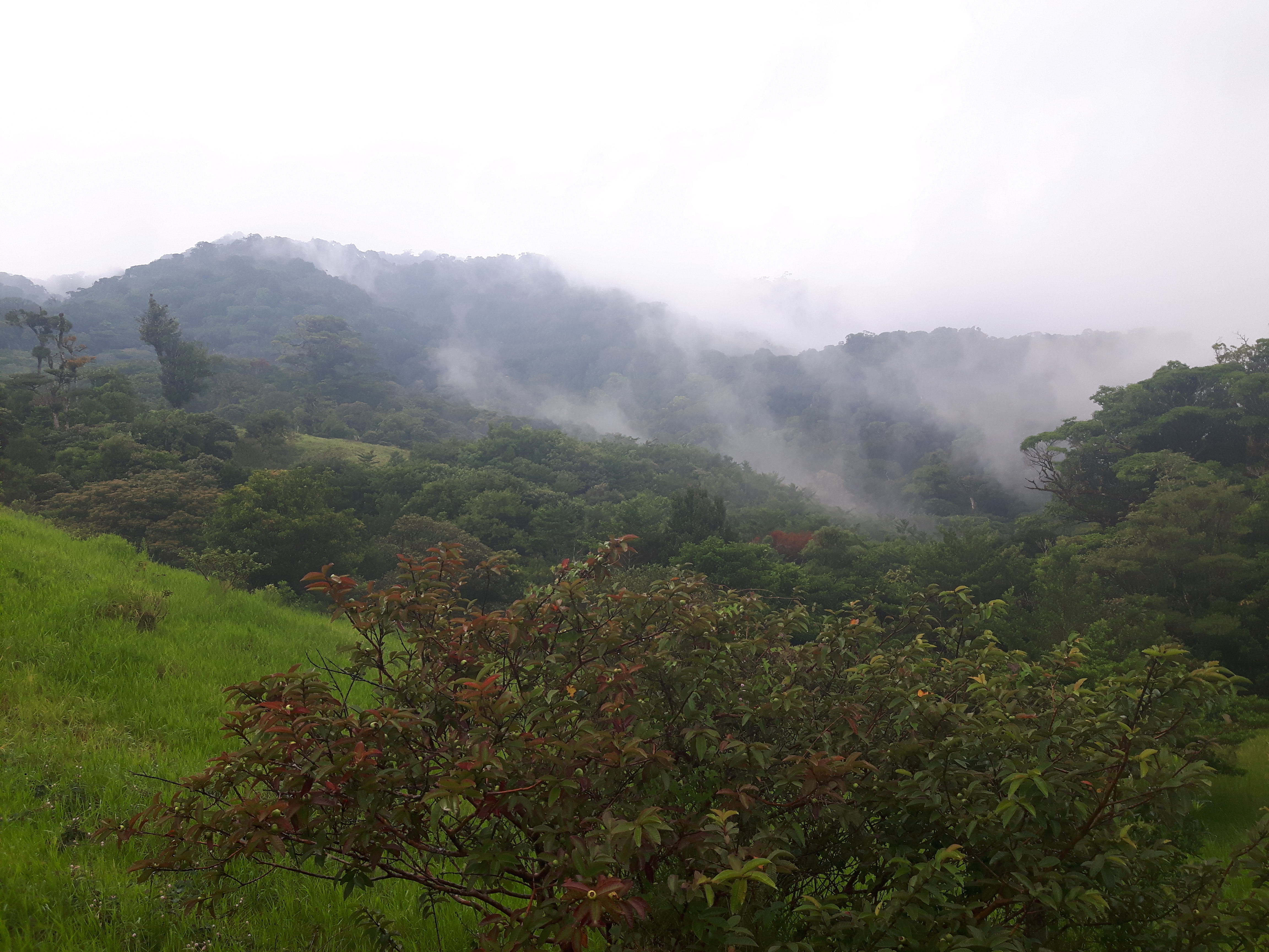 Monteverde Costa Rica